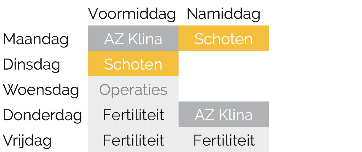 Schema Dr. Céline Verougstraete