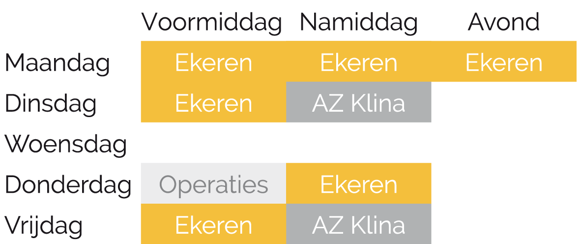 Schema Dr. Stazie Dierckxsens